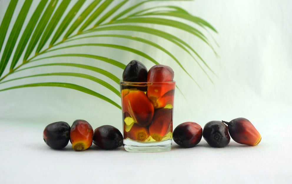 Fruits de palmier dans un verre sur fond blanc, feuille de palmier en arrière-plan