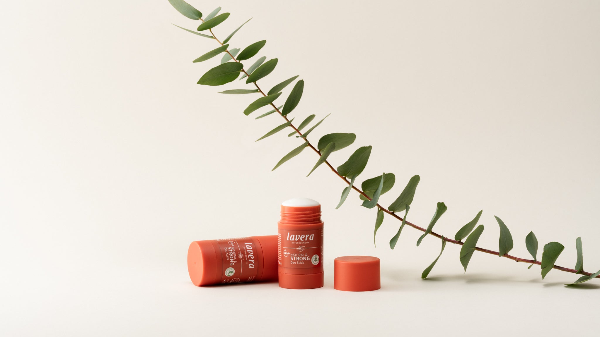 Deo Stick mit Eukalyptus Zweig darüber