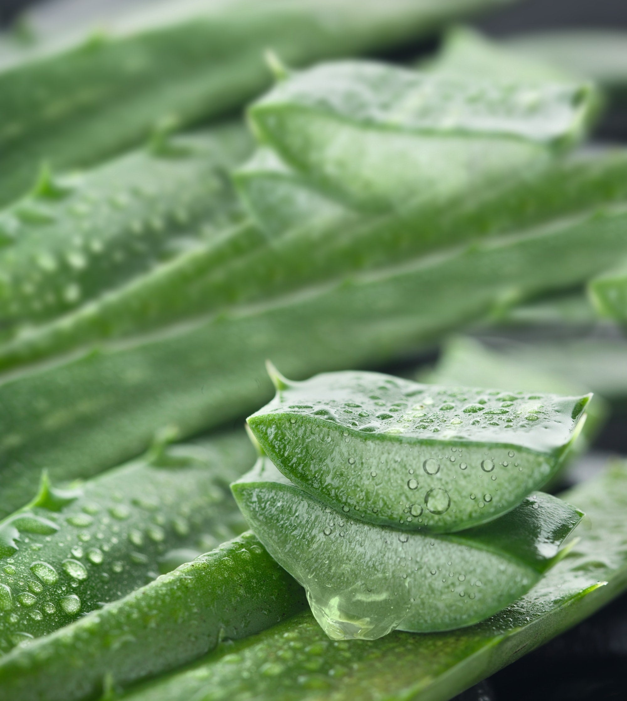 Deo Creme basis sensitive NATURAL & SENSITIVE