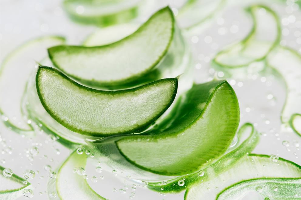 Aufgeschnittene Aloe-Vera-Scheiben mit Gel auf nasser Oberfläche