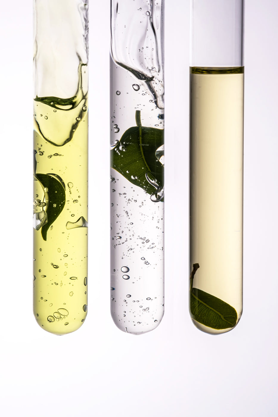 Trois tubes à essai avec huile, eau et feuilles, bulles d'air dans le liquide