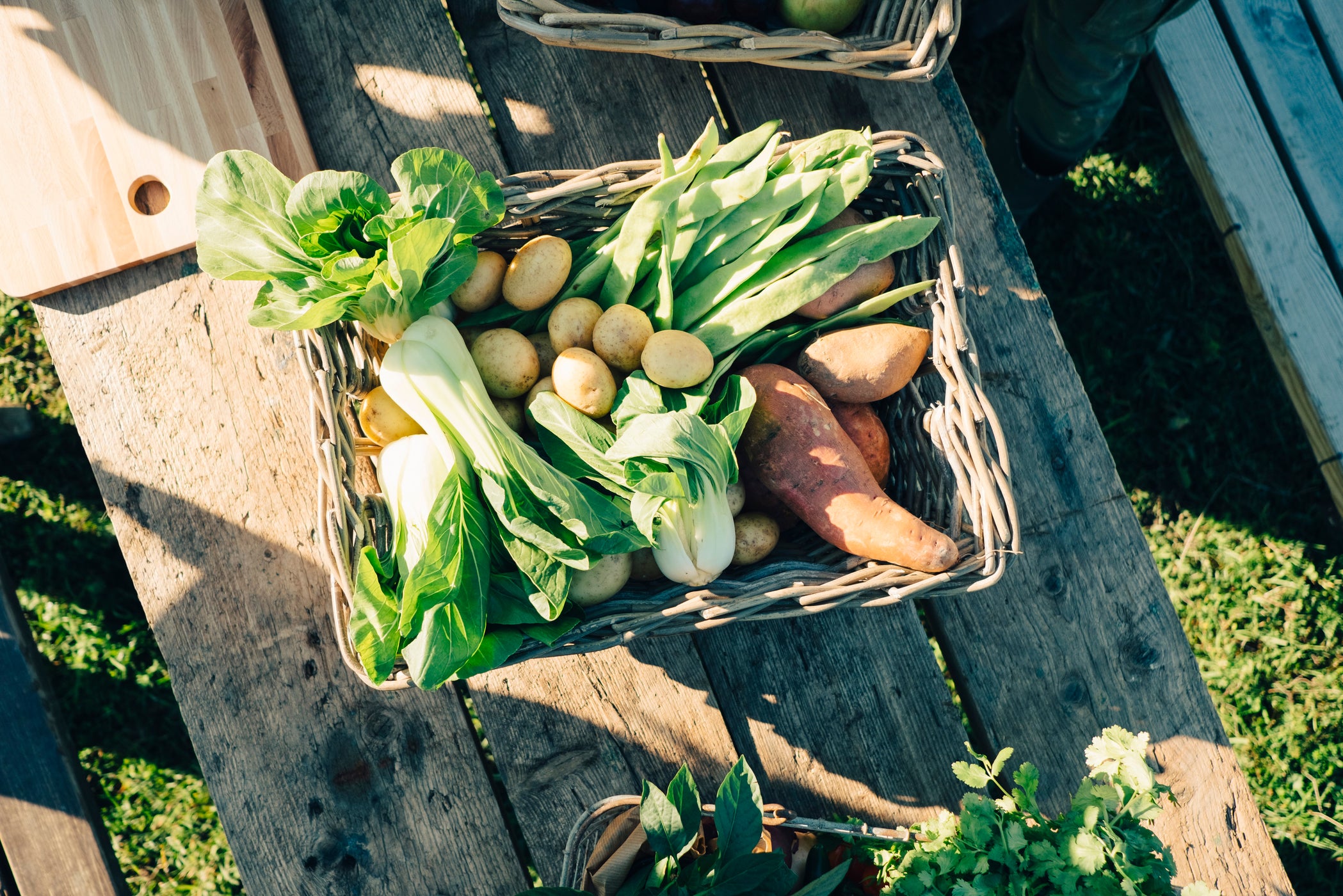 Panier rempli de pommes de terre et légumes sur un banc en bois à l'extérieur