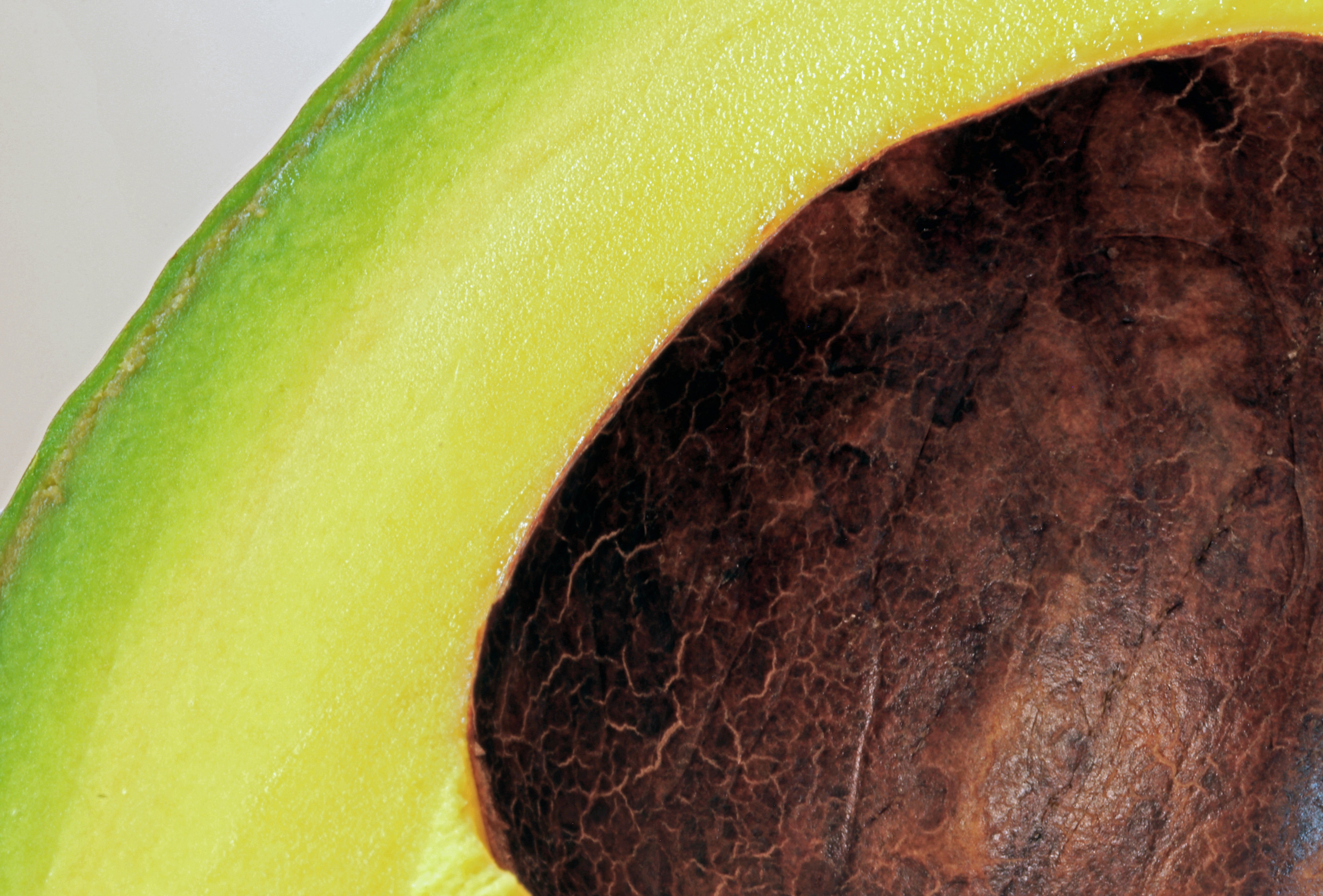 Ausschnitt einer aufgeschnittenen Avocado