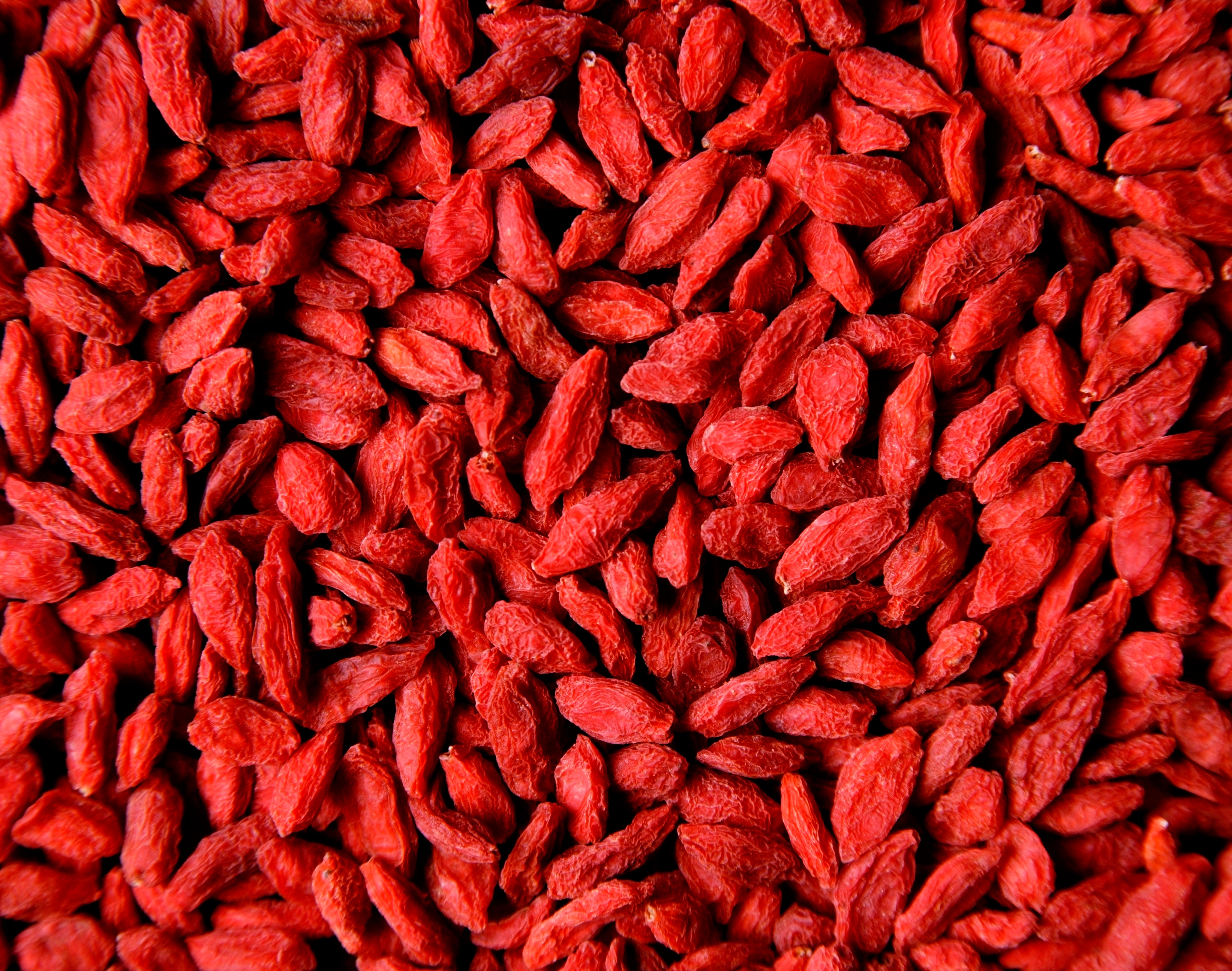 getrocknete Gojibeeren