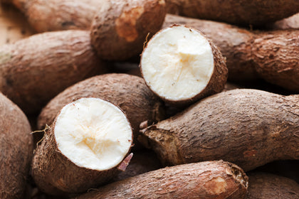 Fécule de tapioca bio