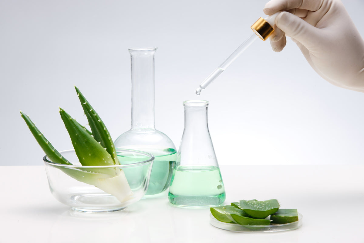 Bols avec Aloe Vera à côté de béchers avec liquide sur lesquels une pipette avec liquide est tenue