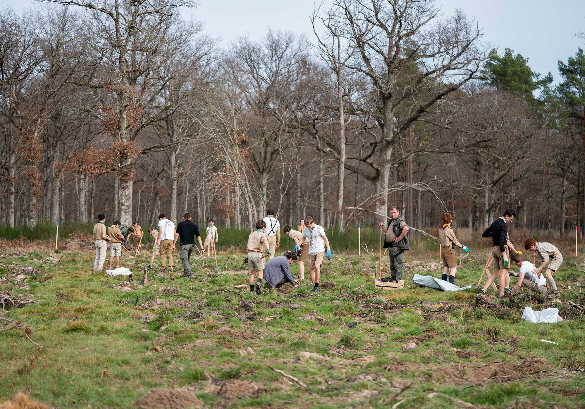 Projet de durabilité à Chambord avec arbre et participants.