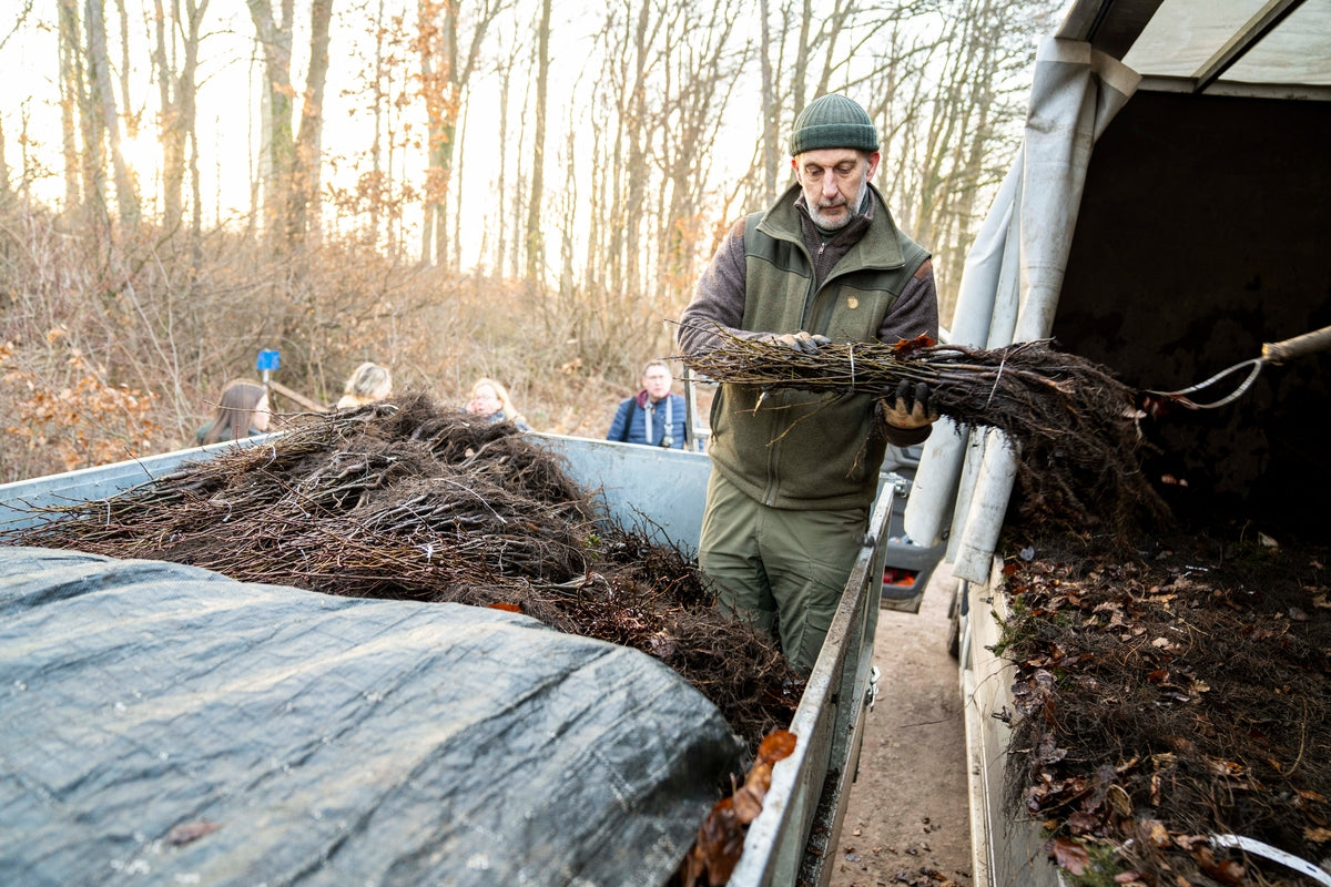 Älterer Mann mit Arbeitskleidung und einem Bündel Ästen in der Hand steht auf einem Anhänger