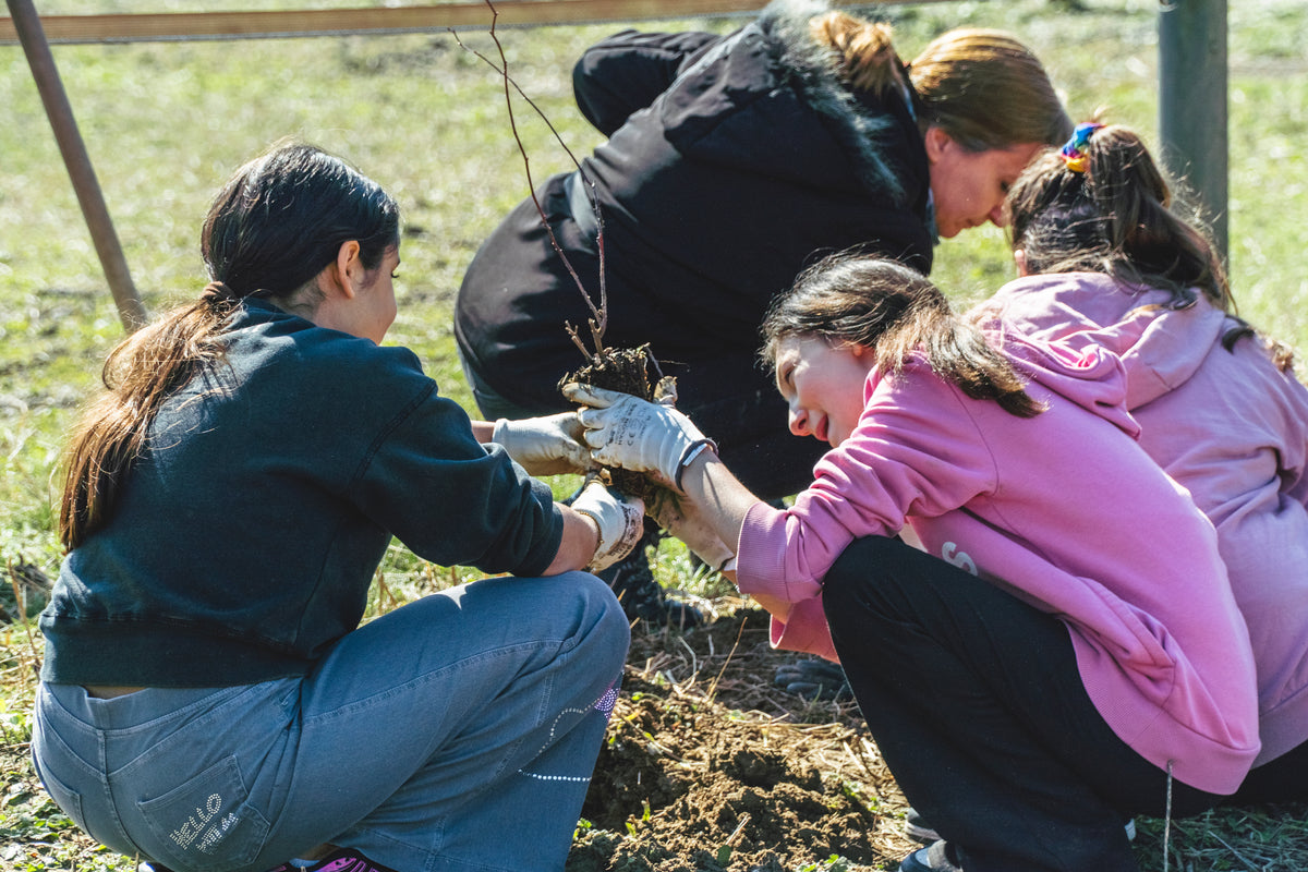 Zwei Mädchen halten einen Setzling in den Händen - mit Handschuhen draußen im Grünen