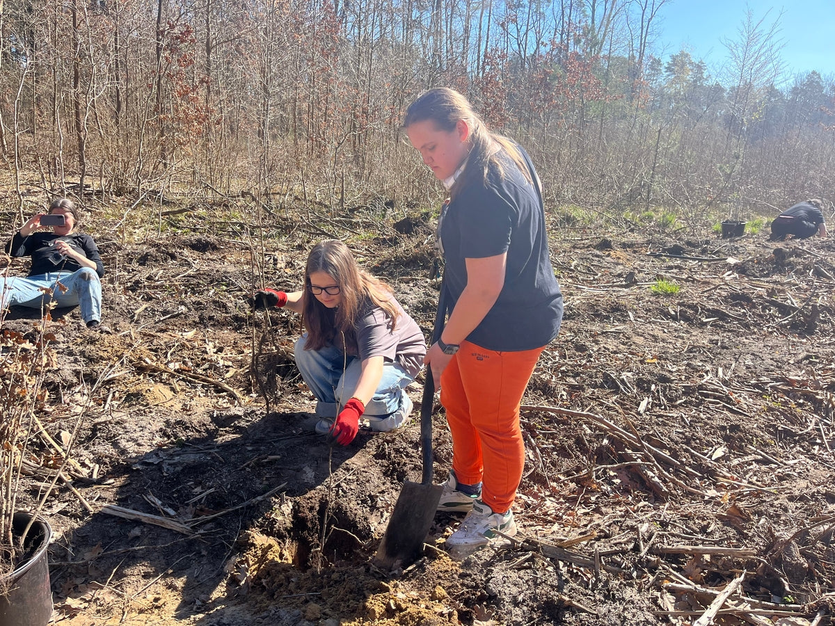 Zwei Mädchen mit Spaten pflanzen einen Setzling ein - bei Sonnenschein