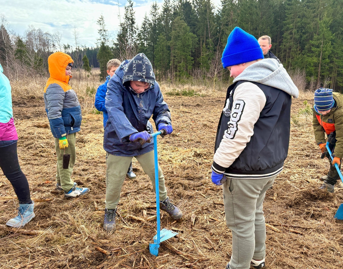 Gruppe von Kindern pflanzt Bäume