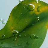 lavera Shampooing Soin Revitalize & Boost
