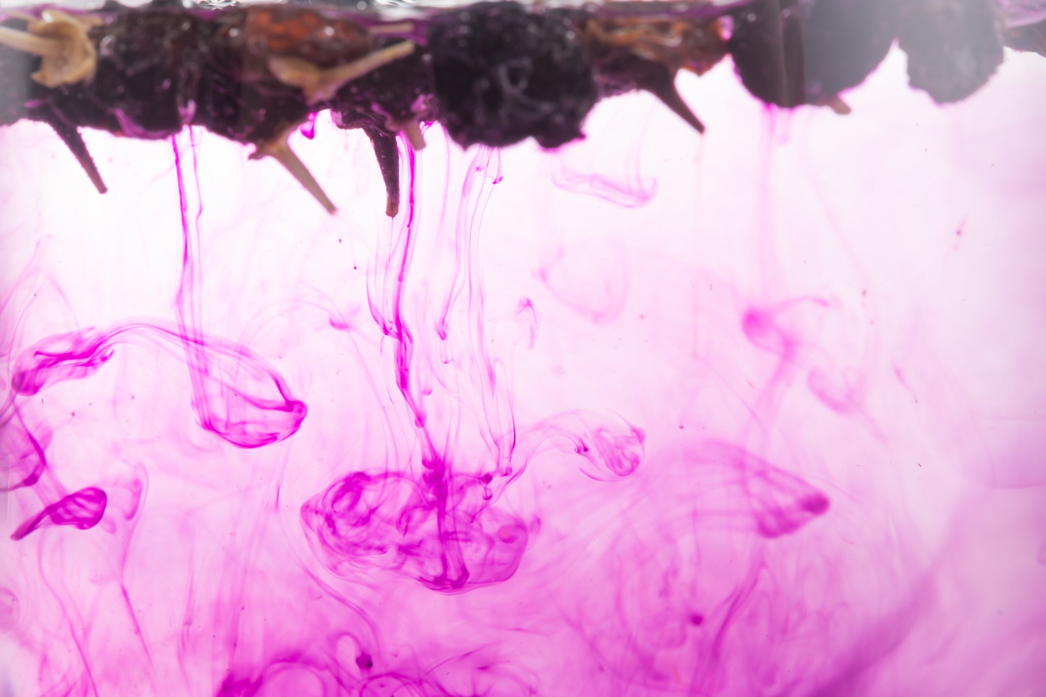 Glasflasche mit rosa Flüssigkeit, daneben geöffnete Granatapfelfrucht und lose Granatapfelkerne auf einem Holztisch.